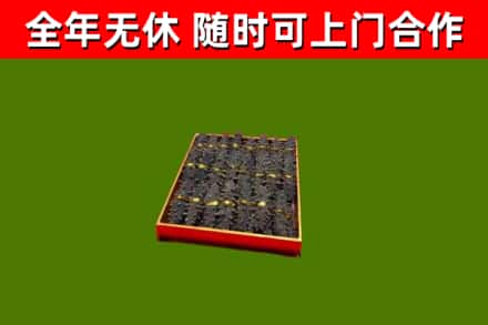 鱼峰回收海参